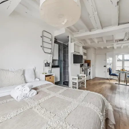 Le Louvre & Notre-dame - Cityapartmentstay Parigi
